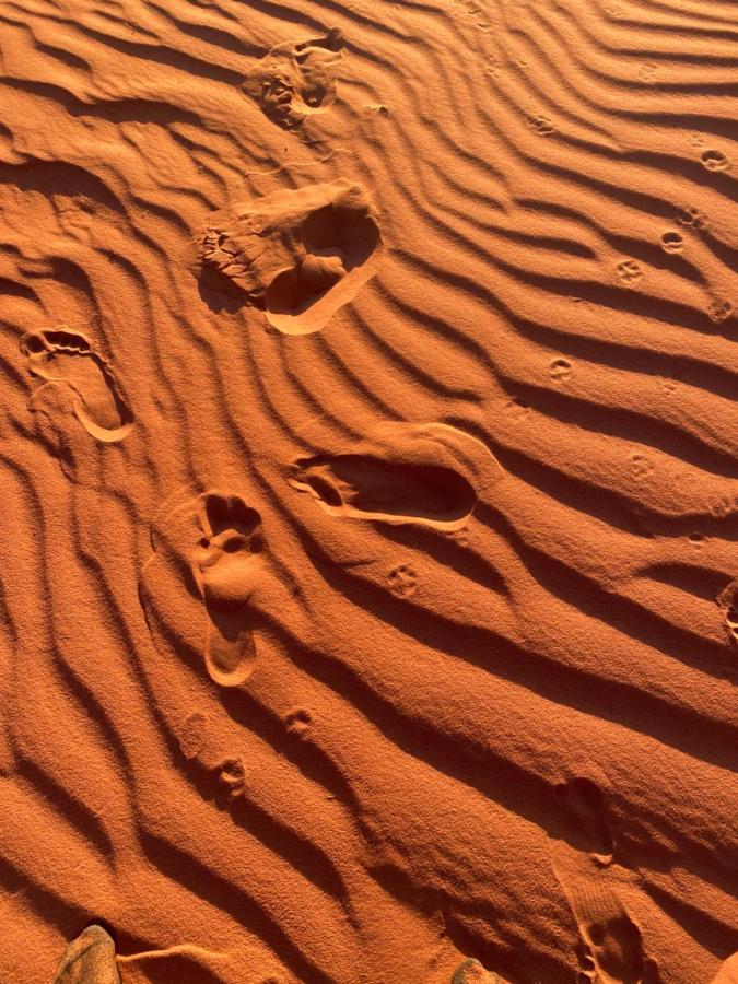 Wadi Rum Silk Road Camp 外观 照片