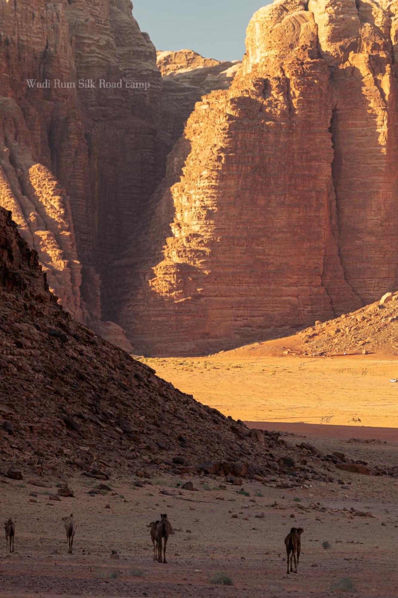 Wadi Rum Silk Road Camp 外观 照片