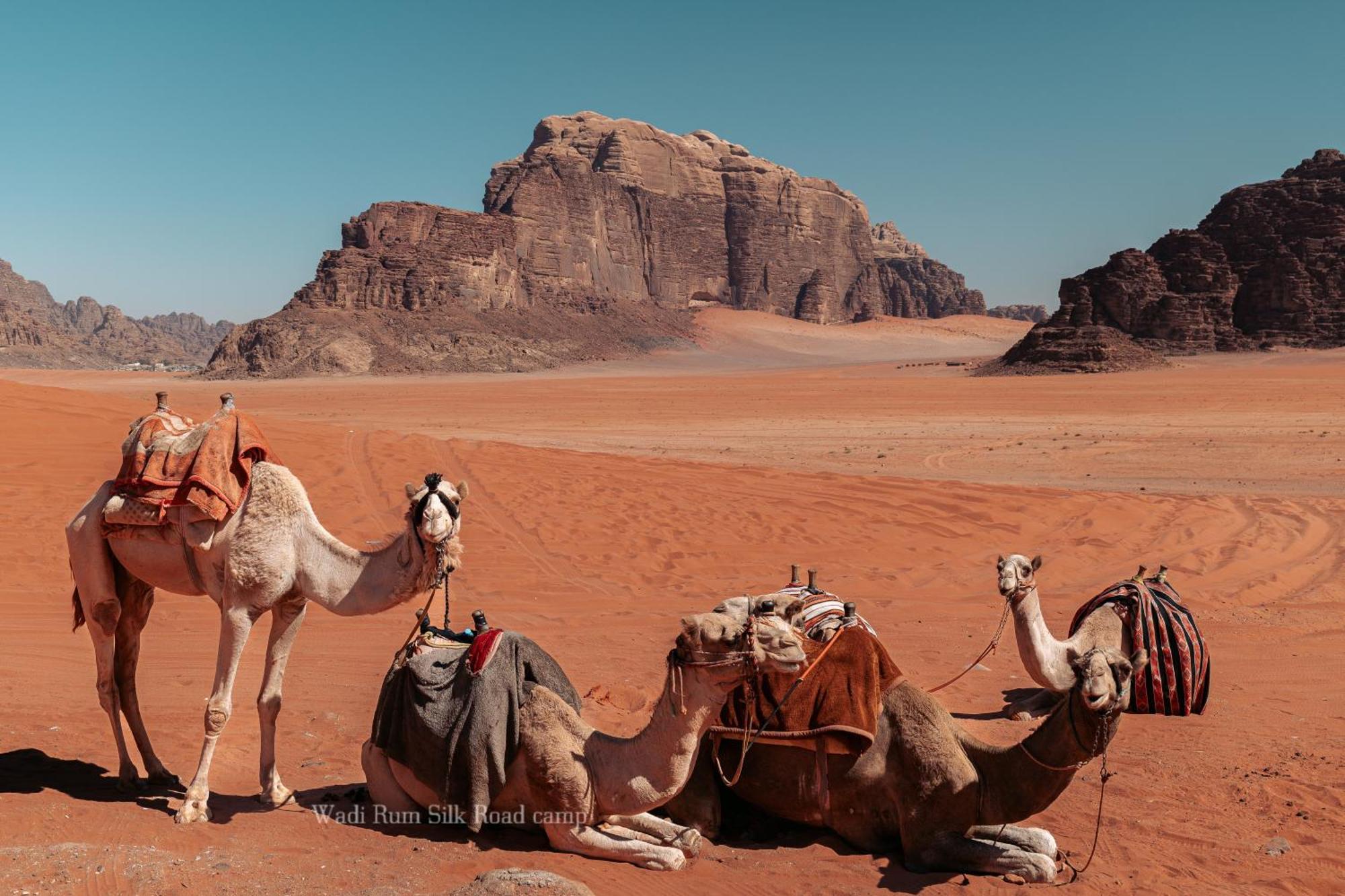 Wadi Rum Silk Road Camp 外观 照片