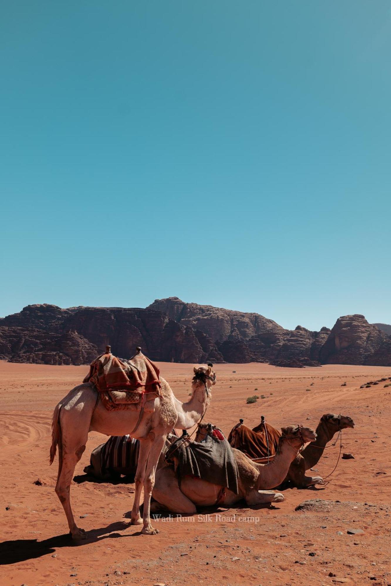 Wadi Rum Silk Road Camp 外观 照片